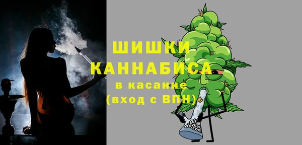 эйфоретик Арсеньев