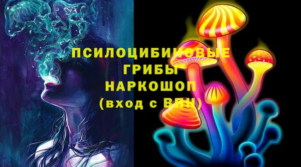 стафф Сатка